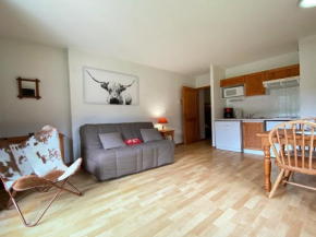 Studio Samoëns, 1 pièce, 4 personnes - FR-1-624-108